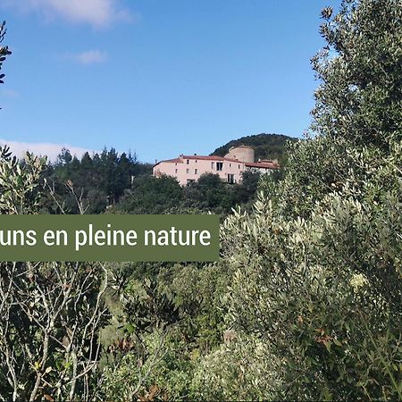 Pyrenees Mon Amour Felluns Kültér fotó