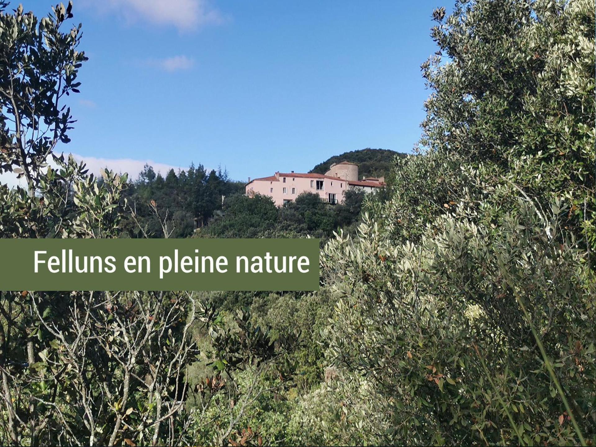 Pyrenees Mon Amour Felluns Kültér fotó